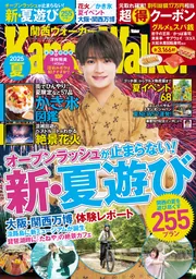 美品 関西ウォーカー　創刊号 関西ウォーカー 創刊号、創刊2号、創刊3号 3冊セット - メルカリ