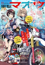 m ほうおう 10月号 知っているだけで大違い】3010サイズのボックスを活用した「VS-7080N