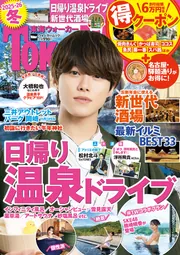 ほぼほぼフリーゲームマガジン Vol.3」 [カドカワエンタメムック