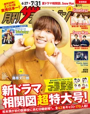月刊ザテレビジョン、テレビファンセット