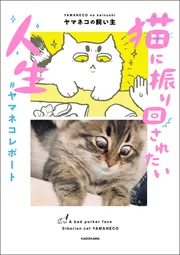 猫に振り回されたい人生 #ヤマネコレポート」ヤマネコの飼い主