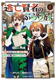 逃亡賢者（候補）のぶらり旅 ～召喚されましたが、逃げ出して安寧の地探しを楽しみます～（１）