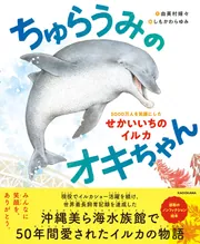 Henri Womer イルカの絵画 ちゅらうみのオキちゃん 5000万人を笑顔にしたせかいいちのイルカ