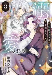 失恋メイドは美形軍人に溺愛される (3) ～実は最強魔術の使い手でした～