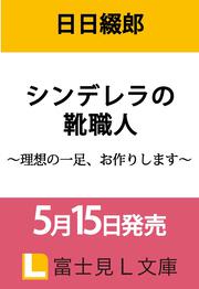 シンデレラの靴職人 ～理想の一足、お作りします～
