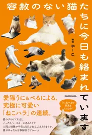 王の眼 第一巻」江森備 [文芸書] - KADOKAWA