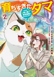 A.O.Z RE-BOOT GUNDAM INLE ガンダム・インレ -くろうさぎのみた夢- VI