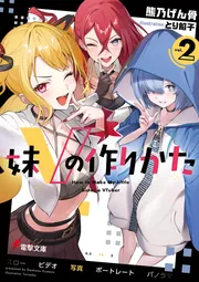 書影：妹Vの作りかた２