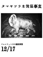神の目覚めを望む者 タマヤツラネ傀儡事変