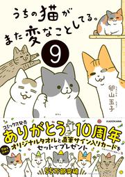 うちの猫がまた変なことしてる。９